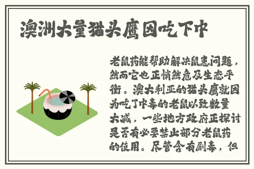 我想你 我的BB